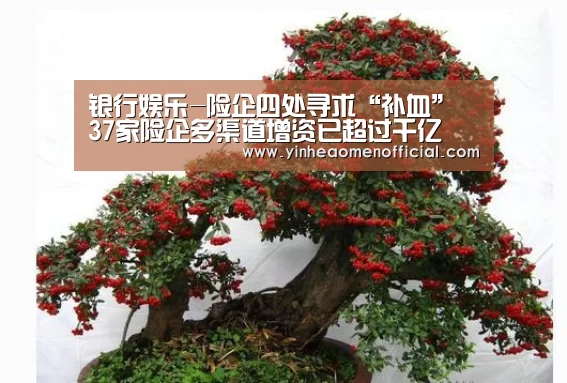 银行娱乐-险企四处寻求“补血” 37家险企多渠道增资已超过千亿(图4) 澳门银行彩票